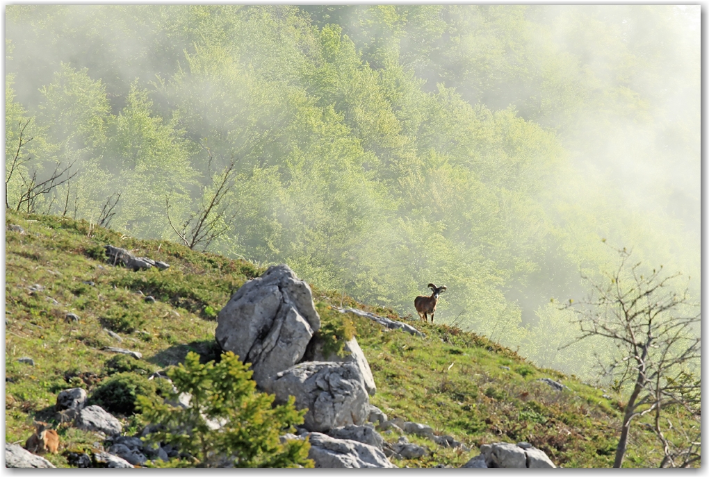 le Vercors et ses habitants