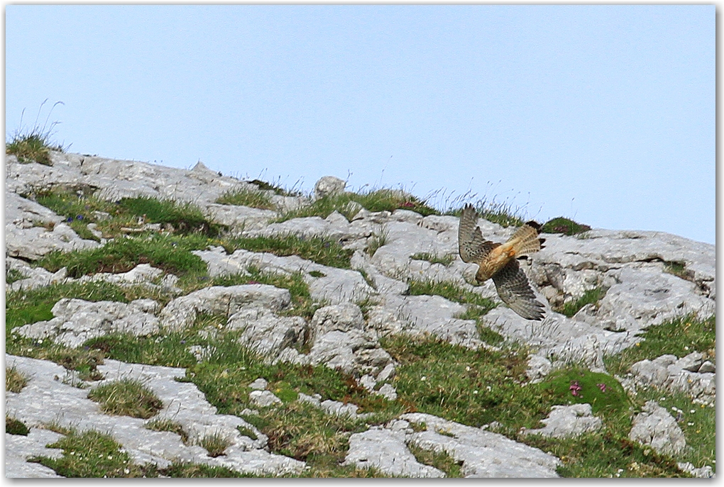 le Vercors et ses rencontres