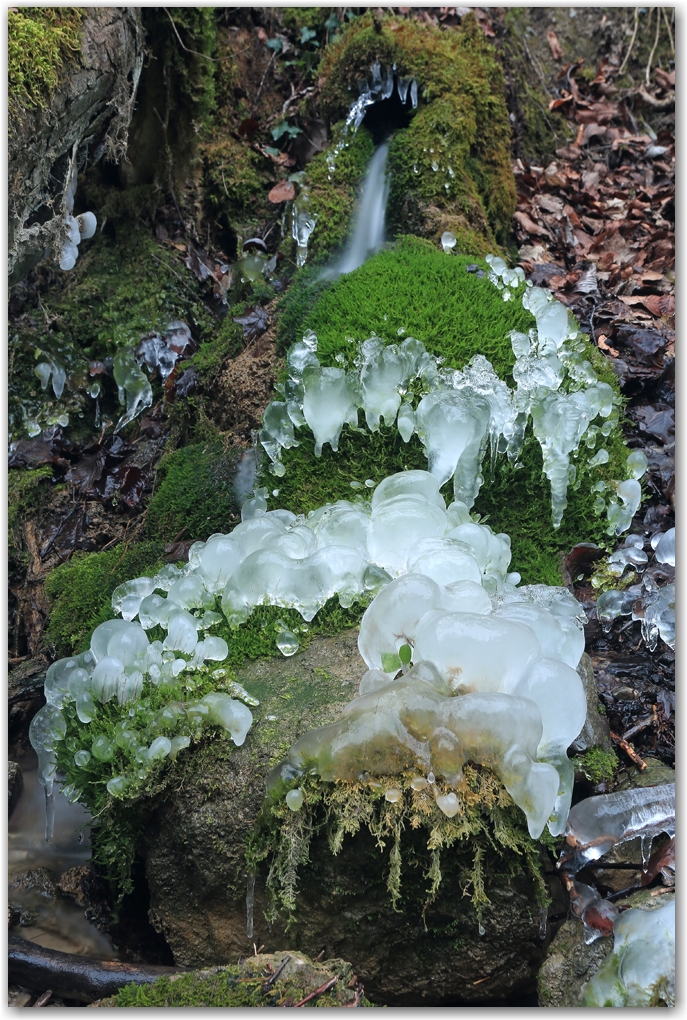 glace à la chartreuse