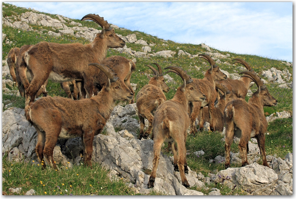 le Vercors et ses rencontres