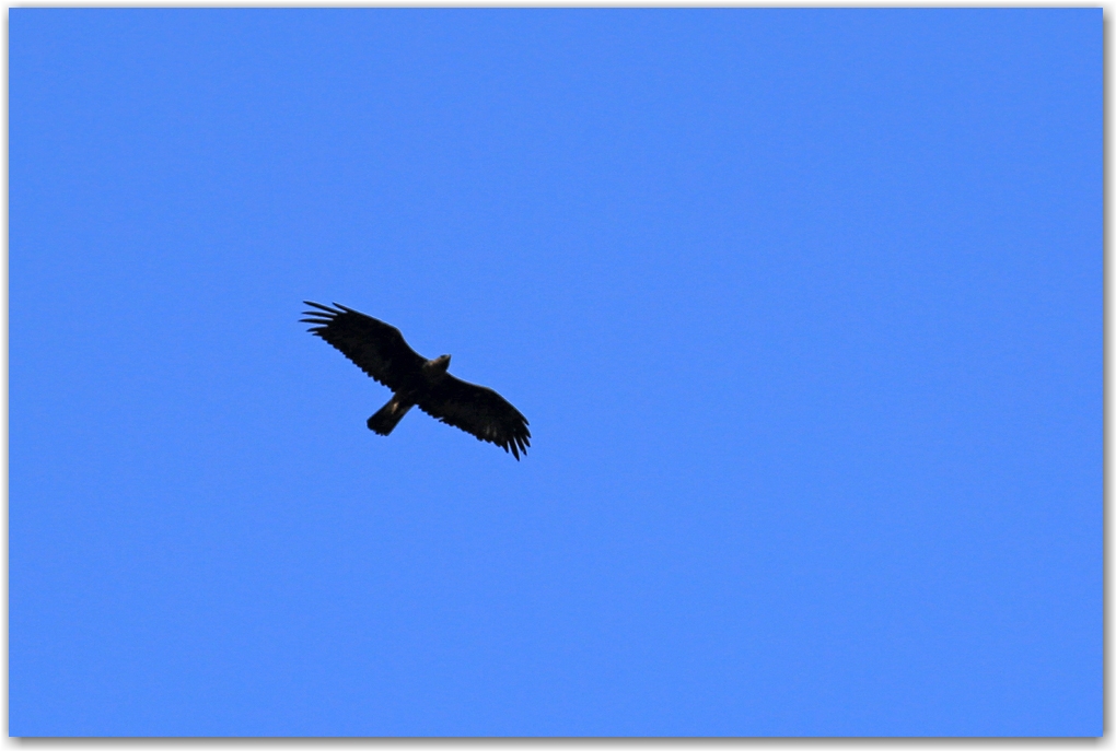 rencontres estivales