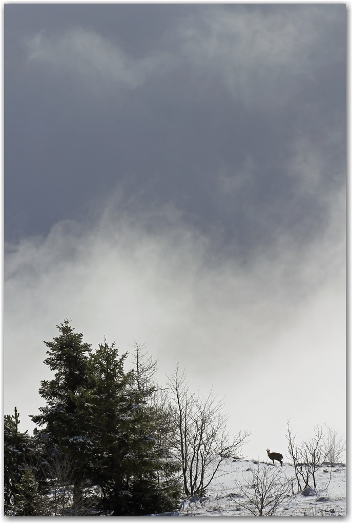 neige de printemps dans le Vercors
