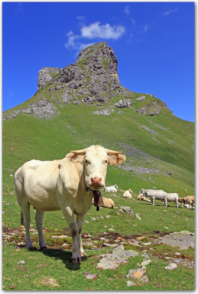 Pic du midi d'Ossau