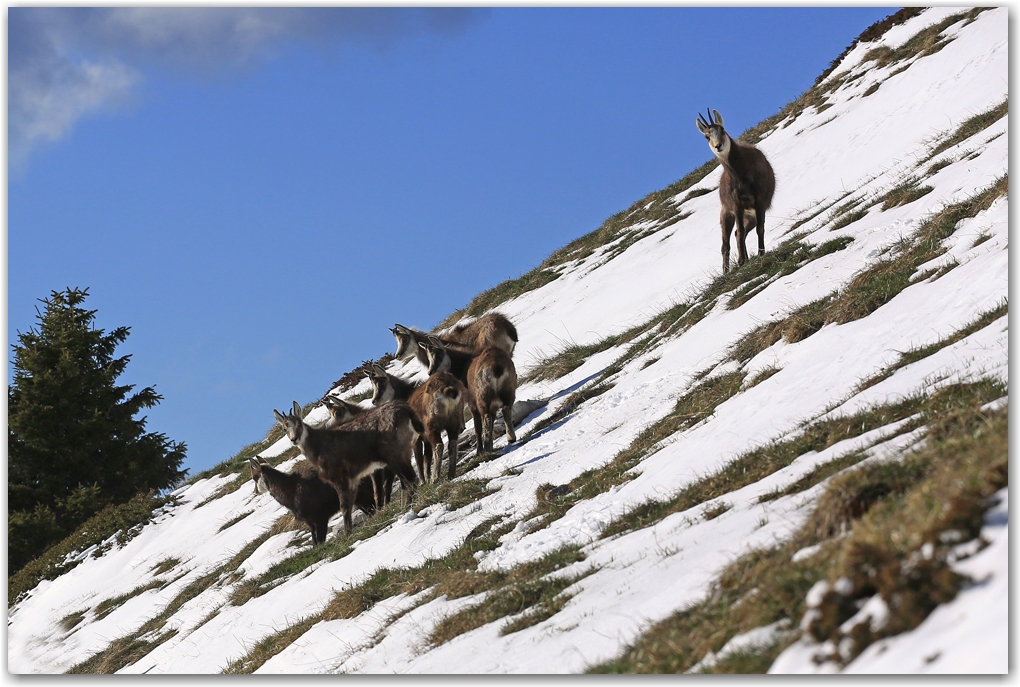 Une Dent de Crolles hivernale au printemps