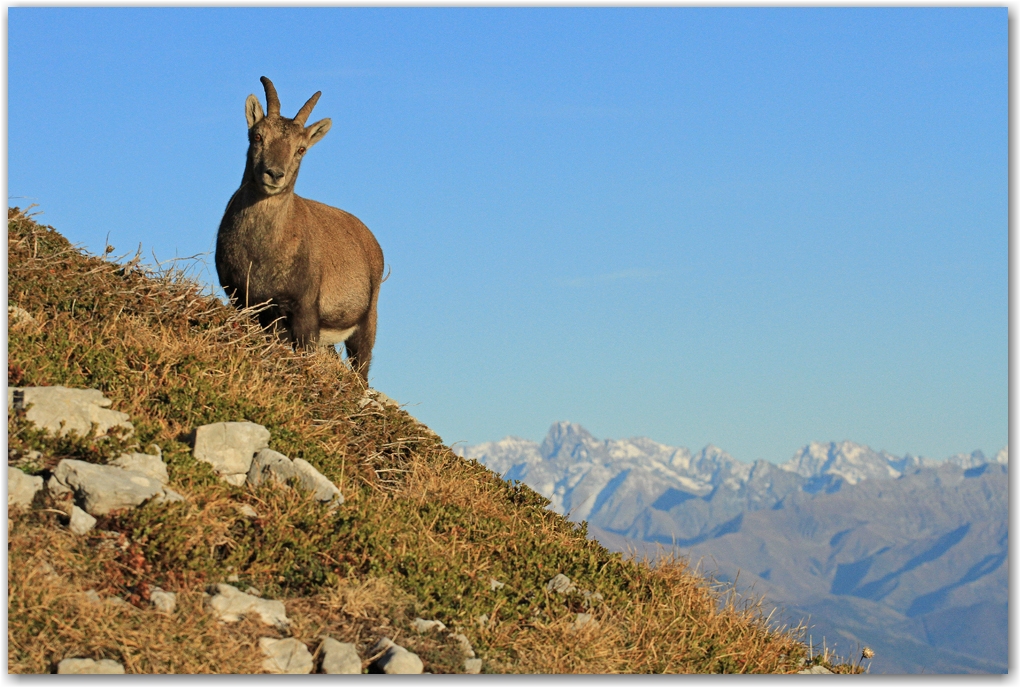 le Grand Veymont