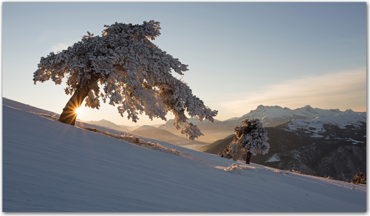 dernier matin d'hiver de 2017