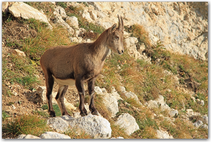 sous les falaises du Vercors