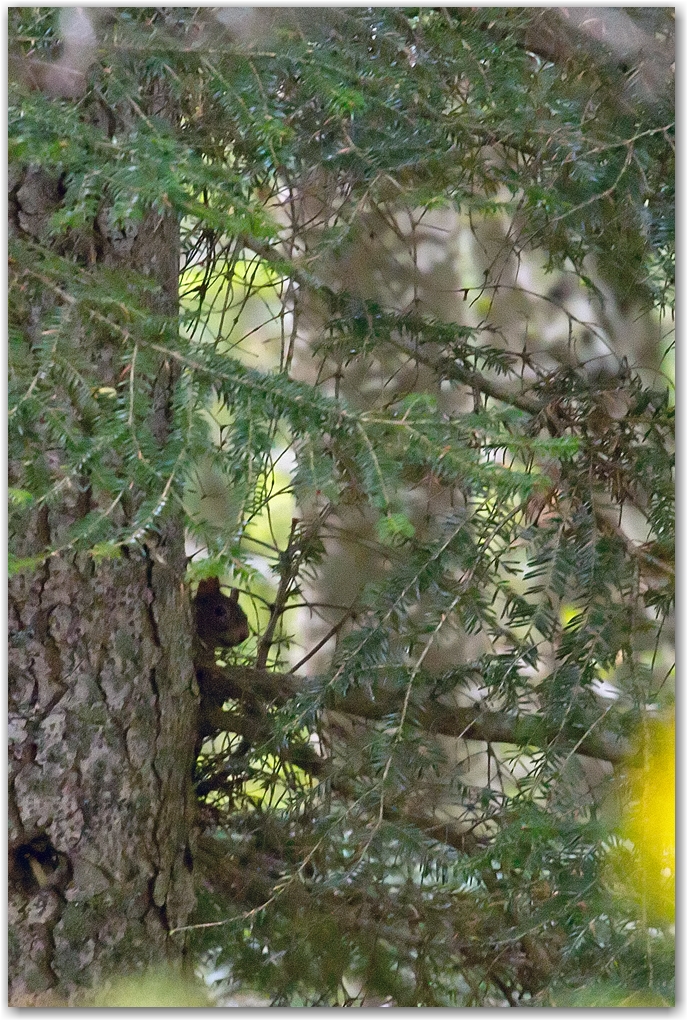 rencontres estivales