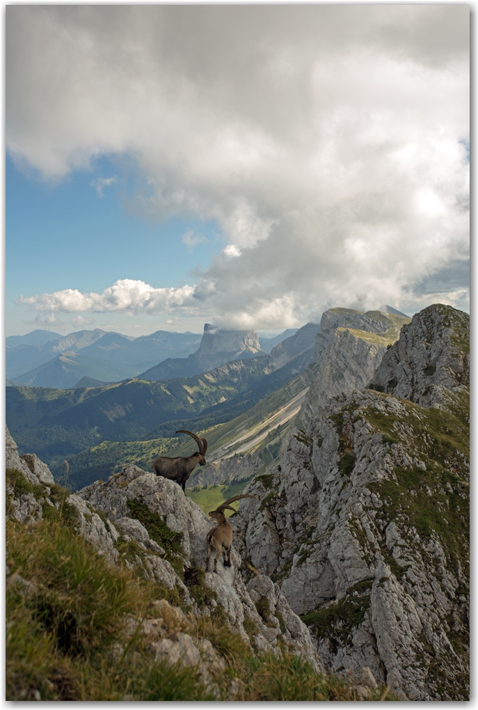 le Maitre des lieux