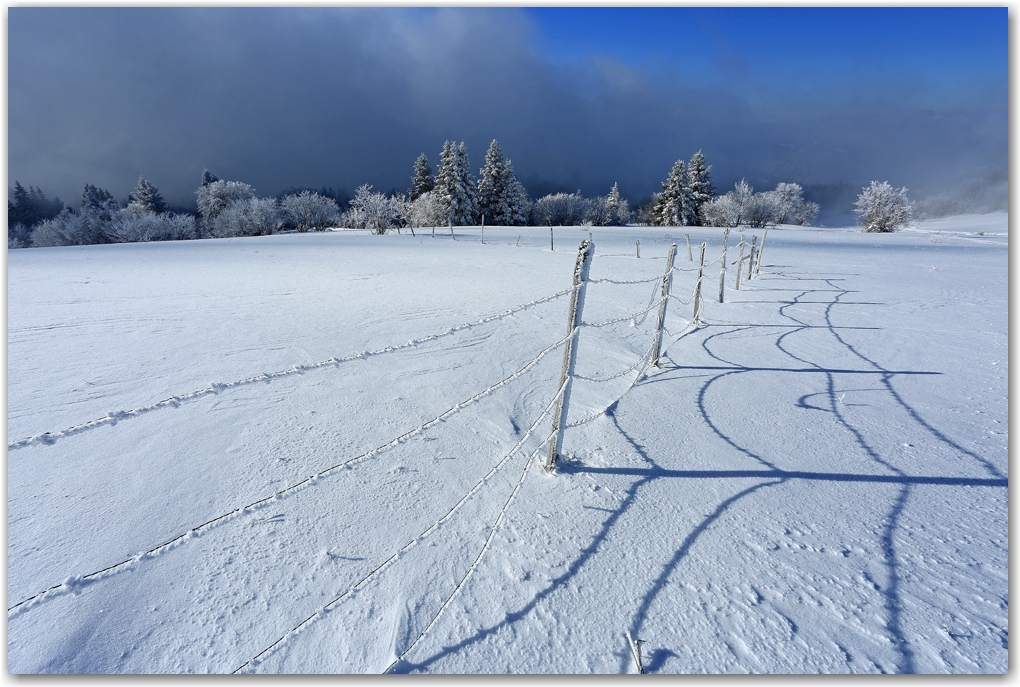 l'hiver au printemps