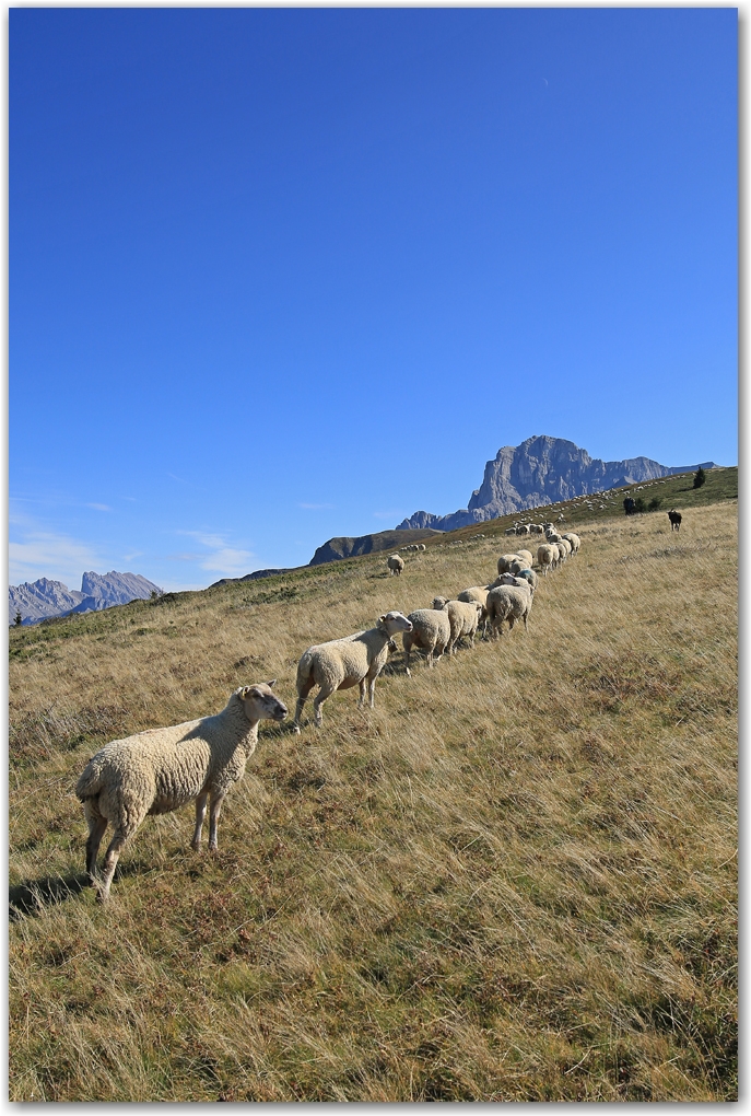 l'automne en Vercors