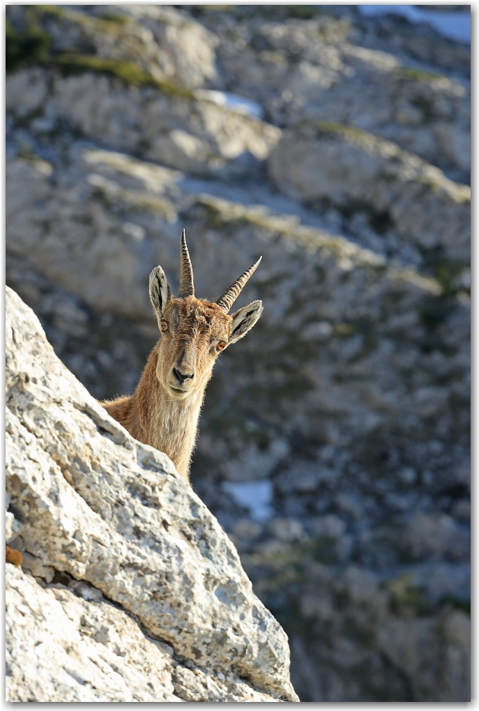 les rencontres du soir dans le Vercors