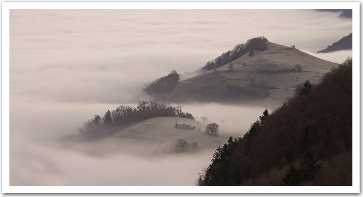 brouillard en vallée